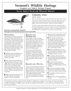 Vermont’s Wildlife Heritage Nongame and Natural Heritage Program FACTS ABOUT NONGAME WILDLIFE SPECIES Common Loon Gavia immer