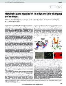 Vol 454 | 28 August 2008 | doi:nature07211  LETTERS Metabolic gene regulation in a dynamically changing environment Matthew R. Bennett1,2*, Wyming Lee Pang1*{, Natalie A. Ostroff1, Bridget L. Baumgartner1, Sujata