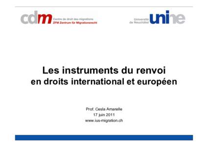 Les instruments du renvoi en droits international et européen Prof. Cesla Amarelle 17 juin 2011 www.ius-migration.ch