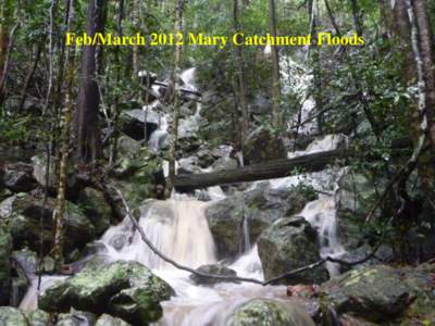 Feb/March 2012 Mary Catchment Floods Michelle McAndrew, FPQ Ian Mackay – Mary River, Kenilworth and Moy Pocket