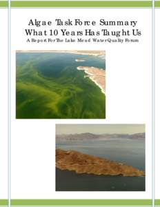 Algae Task Force Summary What 10 Years Has Taught Us
