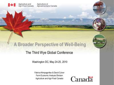 A Broader Perspective of Well-Being The Third Wye Global Conference Washington DC, May 24-25, 2010 Fabrice Nimpagaritse & David Culver Farm Economic Analysis Division