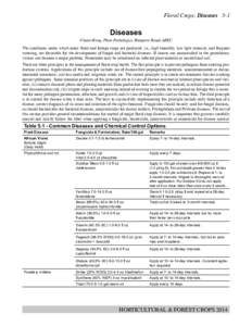 Floral Crops: Diseases 5-1  Diseases Chuan Hong, Plant Pathologist, Hampton Roads AREC The conditions under which many floral and foliage crops are produced, i.e., high humidity, low light intensity, and frequent