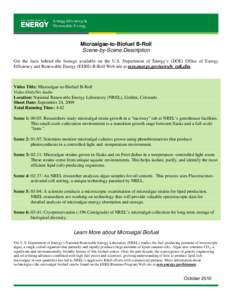 Microalgae-to-Biofuel B-Roll: Scene-by-Scene Description