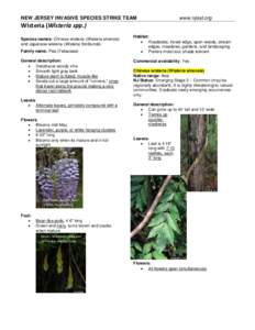 Flora of China / Flora of Japan / Biology / Flora / Flowers / Wisteria / Faboideae / Vines / Botany