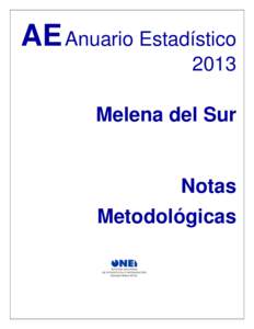 AE Anuario Estadístico 2013 Melena del Sur Notas Metodológicas