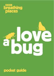 BBC Breathing Places Love a Bug Booklet