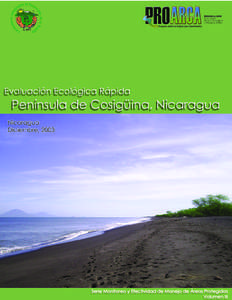 2004 PROARCA/APM, Programa Ambiental Regional para Centroamérica, Componente de Áreas Protegidas y Mercadeo Ambiental, Proyecto USAIDCCAD, The Nature Conservancy (TNC). 12 Avenida
