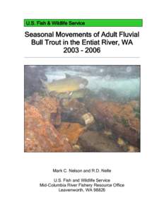 Seasonal movement of bull trout in the Entiat River