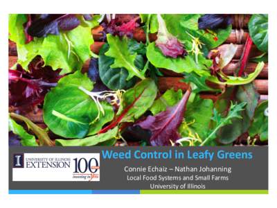 Weed Control in Leafy Greens Connie Echaiz – Nathan Johanning Local Food Systems and Small Farms University of Illinois  Leafy Greens?