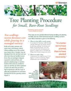 Extension SP663 Tree Planting Procedure for Small, Bare-Root Seedlings David Mercker, Extension Specialist