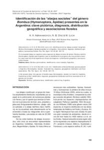 Revista de la Facultad de Agronomía, La Plata[removed]), 2007 ISSN[removed], Facultad de Ciencias Agrarias y Forestales, UNLP, Argentina. Identificación de las “abejas sociales” del género Bombus (Hymenoptera, Apid