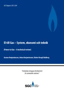 Fuel gas / Biofuels / Fuels / Methane / Anaerobic digestion / Renewable natural gas / Methanation / Biogas / Hydrogen production / Energy / Chemistry / Waste management