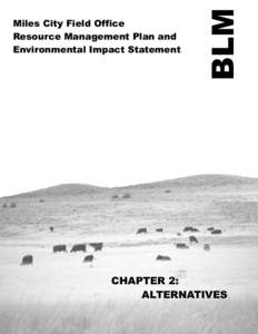 BLM  Miles City Field Office Resource Management Plan and Environmental Impact Statement