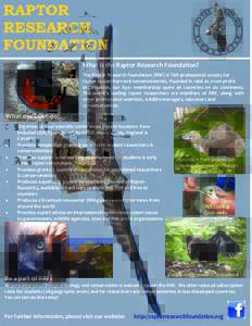 RAPTOR RESEARCH FOUNDATION What is the Raptor Research Foundation?    