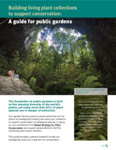 Building living plant collections to support conservation: A guide for public gardens  The rare Sinkhole Cycad, Zamia decumbens