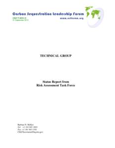 Microsoft Word - CSLF-TStatus Report from Risk Assessment Task Force.doc