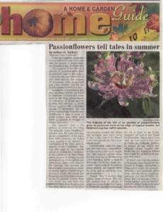 Medicinal plants / Passiflora incarnata / Passiflora lutea / Passiflora / Lavender / Flora of the United States / Botany / Flora