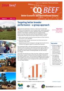 Droughtmaster / Pestivirus / Beef / Bovine virus diarrhea / Calf / Angus cattle / Belmont Red / Rockhampton / Highland cattle / Livestock / Cattle / Agriculture