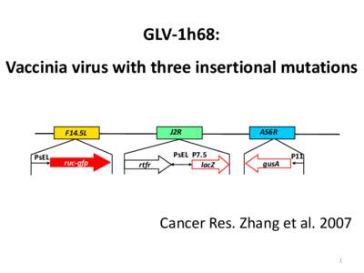 GLV-1h68: Vaccinia virus with three insertional mutations J2R  F14.5L