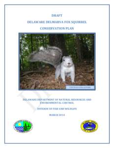 DRAFT DELAWARE DELMARVA FOX SQUIRREL CONSERVATION PLAN © DE Division of Fish and Wildlife