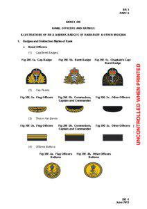Annex 39E - Illustrations of RN & QARNNS Badges of Rank/Rate & Other Insignia