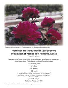 The peony cultivar ‘Kansas.’ — Photo courtesy of the Georgeson Botanical Garden.  Production and Transportation Considerations in the Export of Peonies from Fairbanks, Alaska A Senior Thesis Presented to the Facult