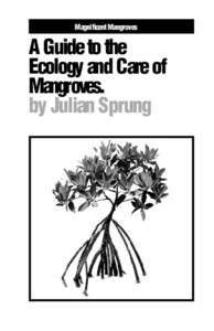 Magnificent Mangroves  A Guide to the Ecology and Care of Mangroves. by Julian Sprung