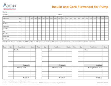 Basal rate / Animas Corporation / Basal / Bolus / California Air Resources Board / 4AM / Diabetes / Pharmacology / Medicine