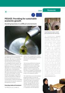 2009  Economic PEGASE: Providing for sustainable economic growth