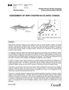 Shark / Northwest Atlantic Marine Ecozone / Discards / Fish / Spiny dogfish / Squalidae
