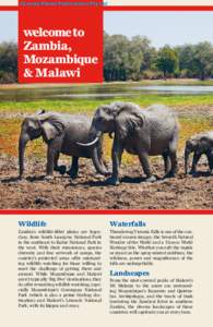 ©Lonely Planet Publications Pty Ltd  welcome to Zambia, Mozambique & Malawi