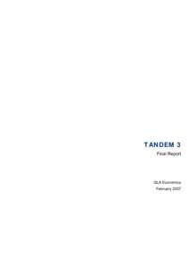 Microsoft Word - Tandem 3 Final Report.doc