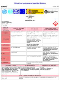 Nº CAS[removed]International Chemical Safety Cards (WHO/IPCS/ILO)