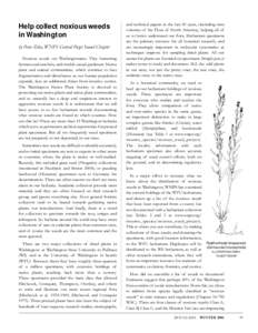 Agriculture / Hawkweed / Noxious weed / Centaurea / Hieracium pilosella / Pilosella aurantiaca / Hieracium / Tyrol Knapweed / Diffuse knapweed / Invasive plant species / Asterales / Asterids