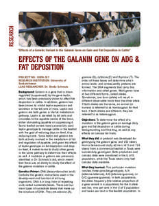 RESEARCH “Effects of a Genetic Variant in the Galanin Gene on Gain and Fat Deposition in Cattle” EFFECTS OF THE GALANIN GENE ON ADG & FAT DEPOSITION PROJECT NO.: [removed]