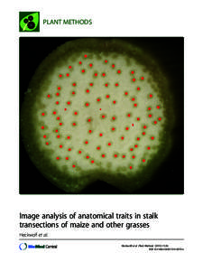 Image analysis of anatomical traits in stalk transections of maize and other grasses