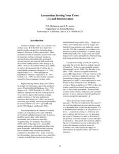 Locomotion Scoring Your Cows:  Use and Interpretation