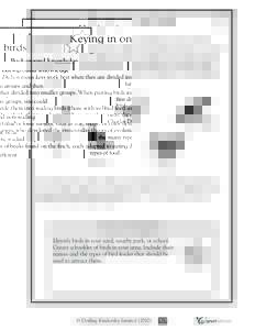 Keying in on birds  ✩ Background knowledge
