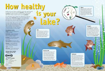 Aquatic ecology / Aquaculture / Ichthyology / Fisheries / Environmental science / Spawn / Lake / Trout / Water pollution / Fish / Water / Biology