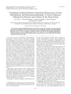 APPLIED AND ENVIRONMENTAL MICROBIOLOGY, July 2004, p. 4411–/$08.00⫹0 DOI: AEM–Copyright © 2004, American Society for Microbiology. All Rights Reserved. Vol. 70, No. 7