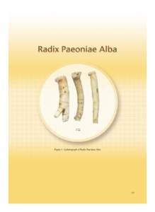 1 cm  Figure 1 A photograph of Radix Paeoniae Alba 187