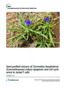 Semi-purified extracts of Commelina benghalensis (Commelinaceae) induce apoptosis and cell cycle arrest in Jurkat-T cells