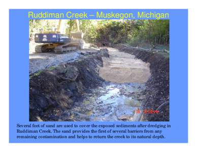 Ruddiman Creek/Pond Updated Presentation - November 2005