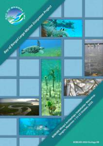 The Bay of Bengal Large Marine Ecosystem (BOBLME) Myeik Archipelago Stakeholder Workshop – Myanmar Final Workshop Report Document  Prepared by