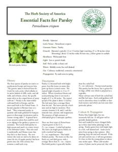 Food and drink / Herbs / Leaf vegetables / Parsley / Apiaceae / Petroselinum / Chervil / Garnish / Chives / Medicinal plants / Eudicots / Asterids