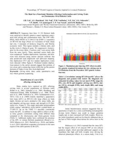 Proceedings, 10th World Congress of Genetics Applied to Livestock Production The Hunt for a Functional Mutation Affecting Conformation and Calving Traits on Chromosome 18 in Holstein Cattle J.B. Cole1, J.L. Hutchison1, D