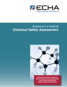 Guidance in a Nutshell  Chemical Safety Assessment This document aims to explain in simple terms the main requirements