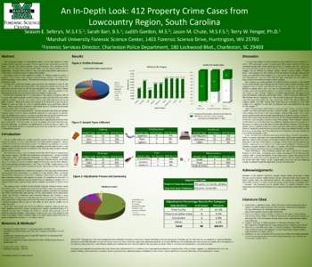 An In-Depth Look: Property Crime Cases from Lowcountry Region, South Carolina