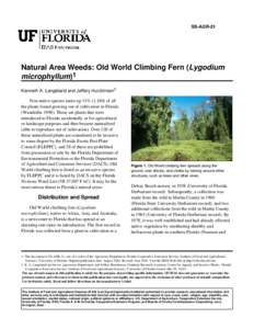 Lygodium / Herbicides / Schizaeales / Invasive plant species / Roundup / Fern / Glyphosate / Loxahatchee National Wildlife Refuge / Vine / Flora / Botany / Biota